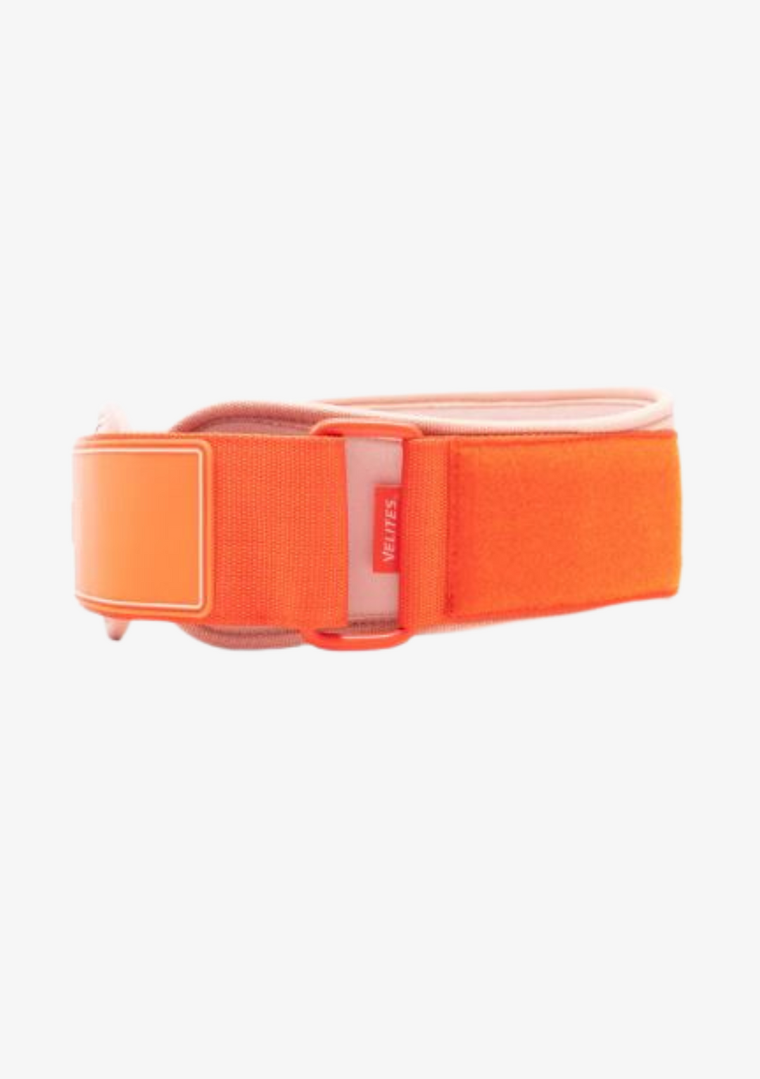 Velites Belt - ORANGE