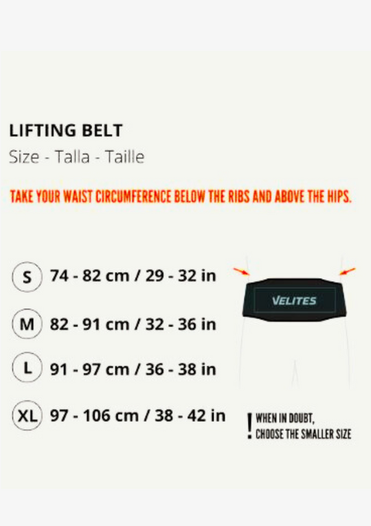 Velites Belt - ORANGE