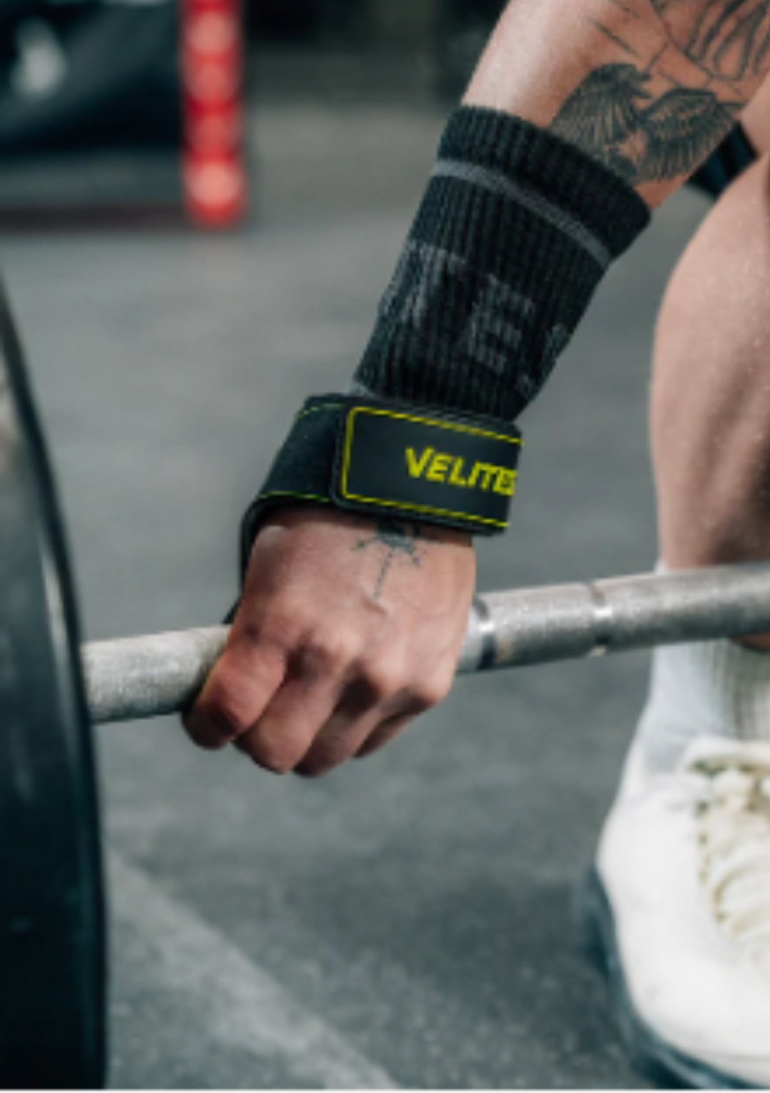 Weightlifting STRAPS Velites