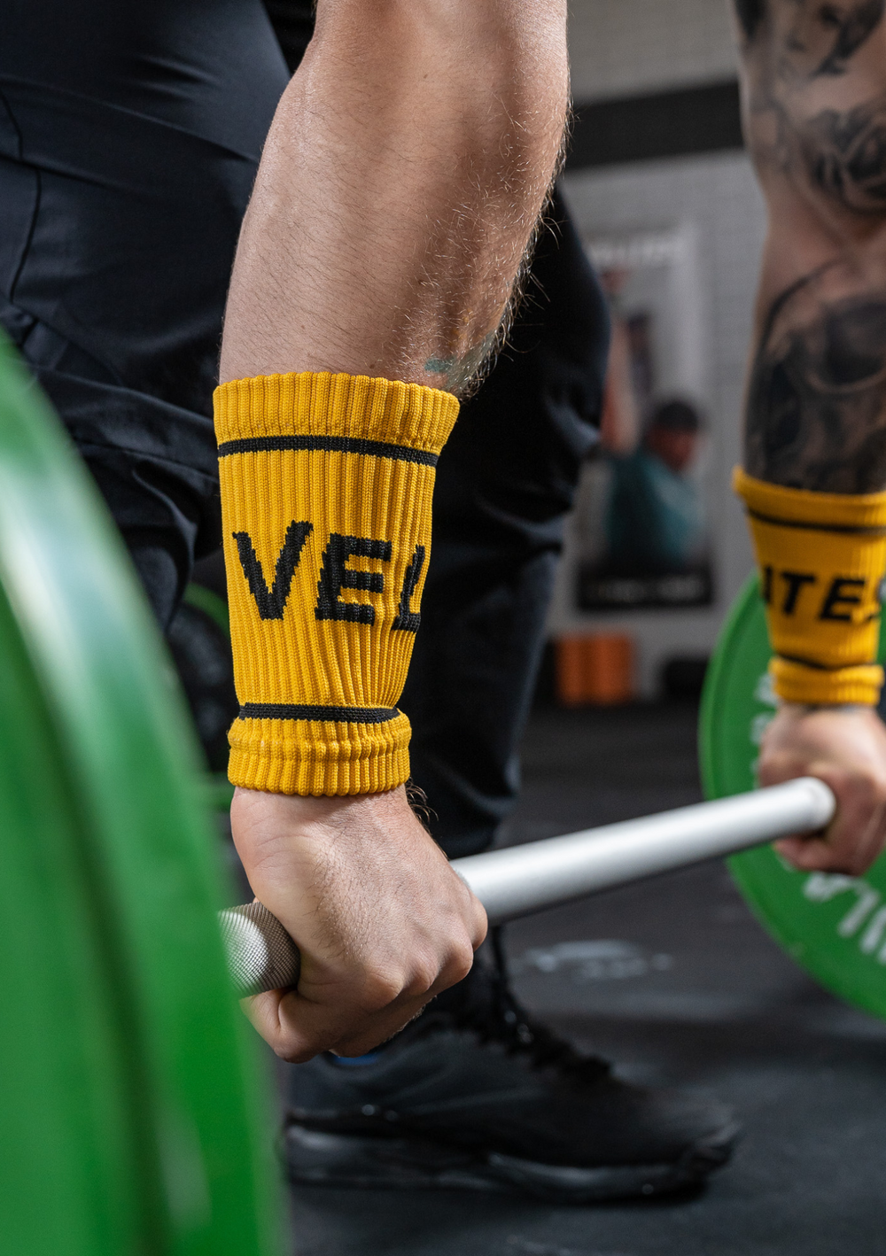 Velites MUSTARD Sweat Bands