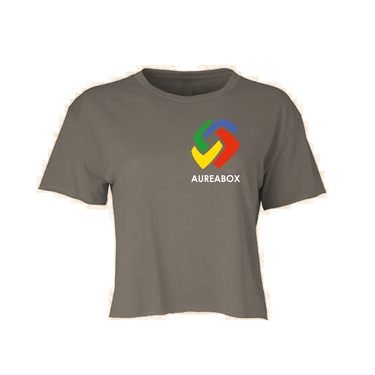 Camiseta corta AUREABOX - Gris oscuro